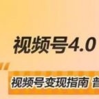 视频号高阶变现项目